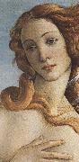 Sandro Botticelli, The Birth of Venus (mk36)